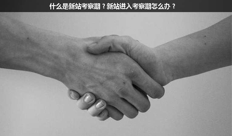 什么是新站考察期？新站進(jìn)入考察期怎么辦？
