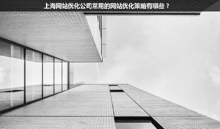 上海網(wǎng)站優(yōu)化公司常用的網(wǎng)站優(yōu)化策略有哪些？