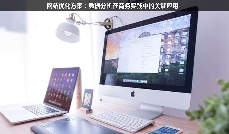 網(wǎng)站優(yōu)化方案：數(shù)據(jù)分析在商務實踐中的關(guān)鍵應用