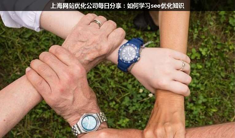 上海網(wǎng)站優(yōu)化公司每日分享：如何學習seo優(yōu)化知識
